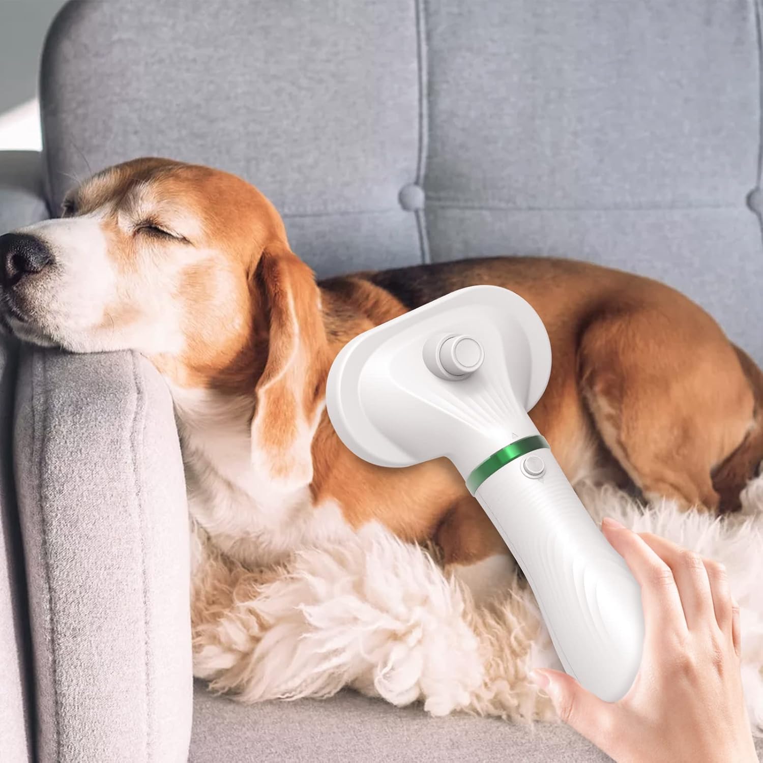 Pet Hair Dryer Brush, White, Safe for All Hair Types, Flexible Stainless Steel Bristles, 3 Temperature Settings, 300W, Hair Brush for Small & Medium Dogs & Cats